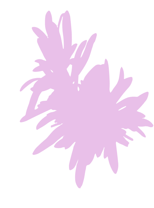 Decoration